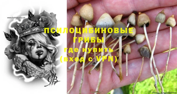 прущие крисы Аркадак